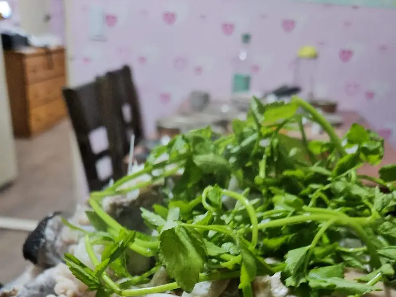 미나리 클로즈업