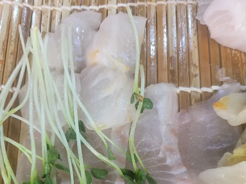 싱싱한 회 근접샷