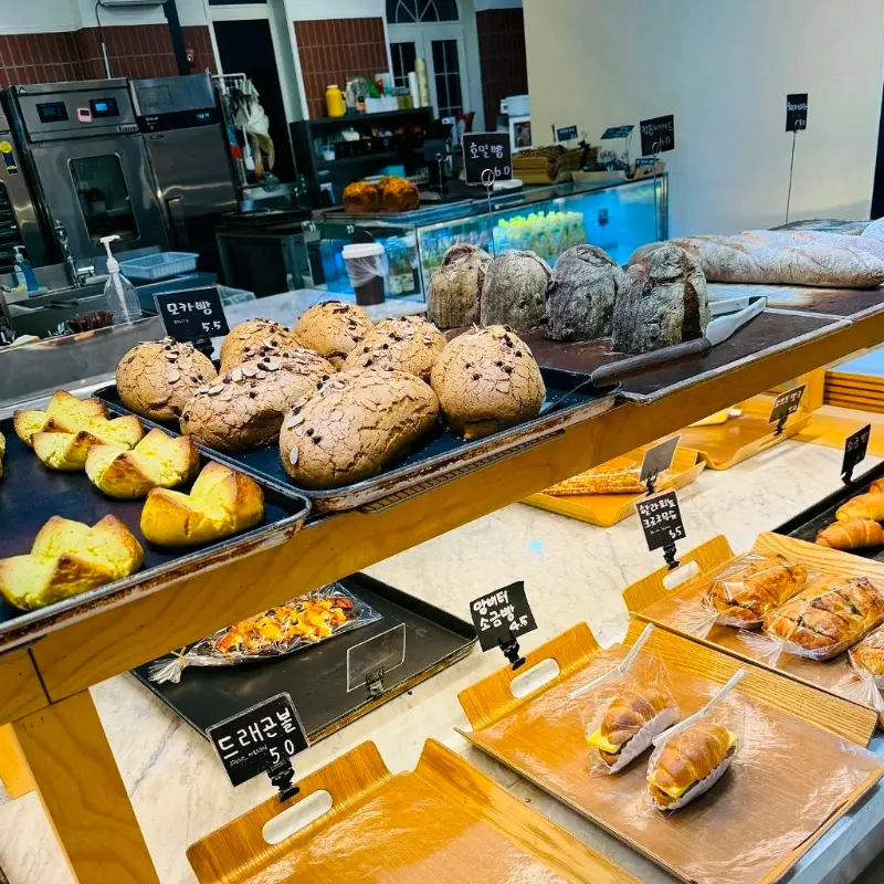 다양한 빵 종류