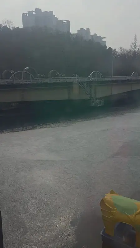 카페에서 바라본 공지천 풍경