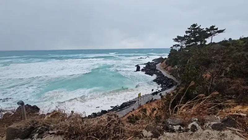 카페 앞에서 바라본 한담해변