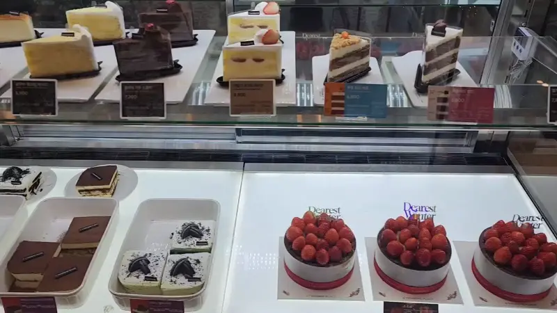 케이크 쇼케이스