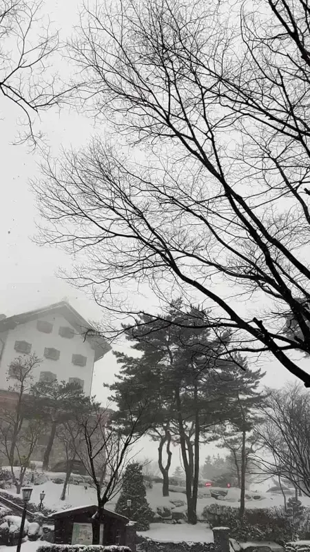 눈 내리는 풍경