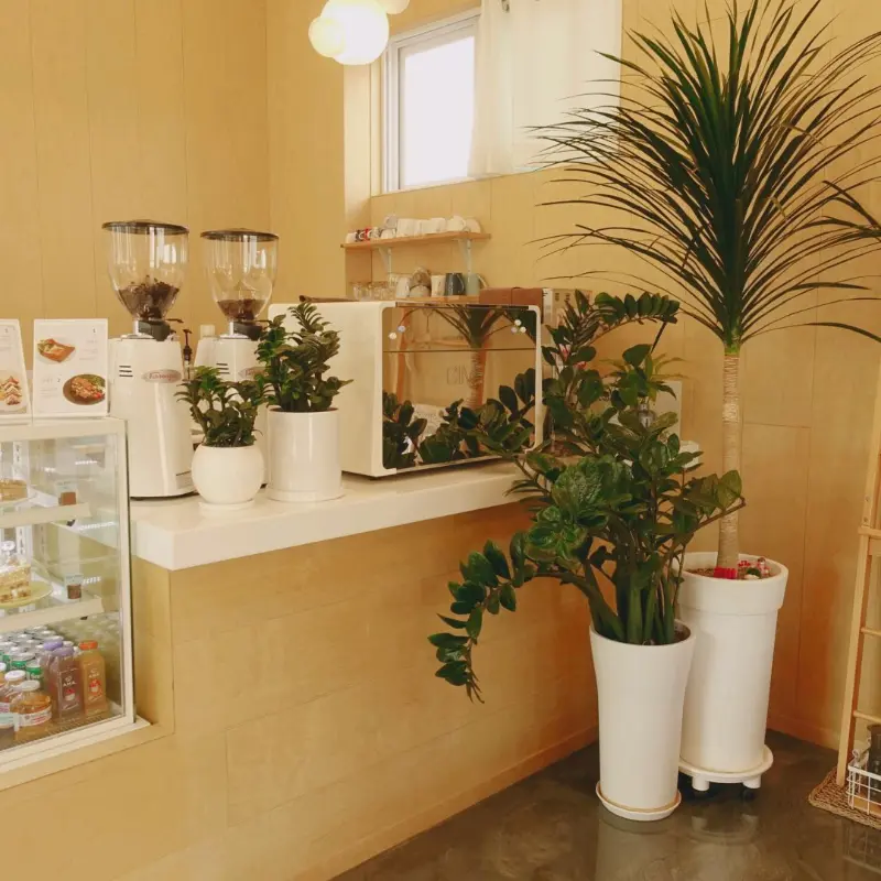 카페 내부 인테리어