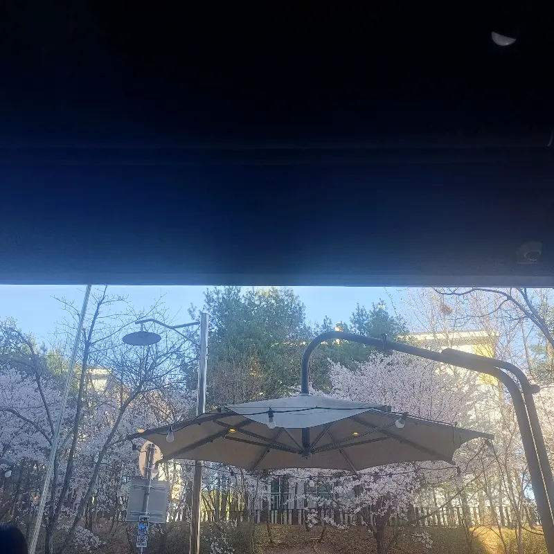 따순기미 외부 테라스