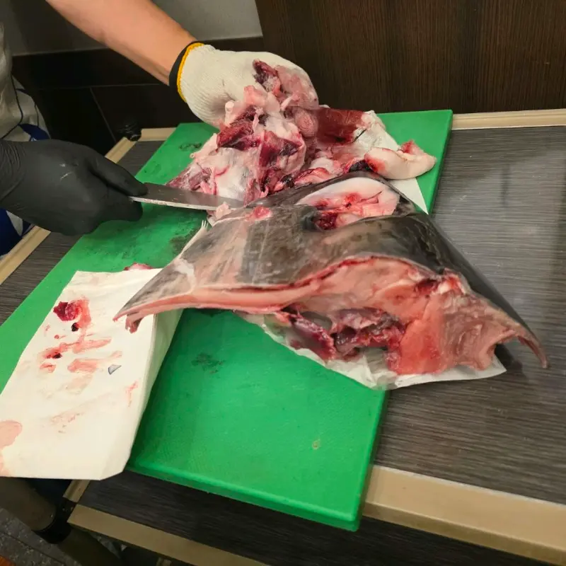 참치 머리 해체