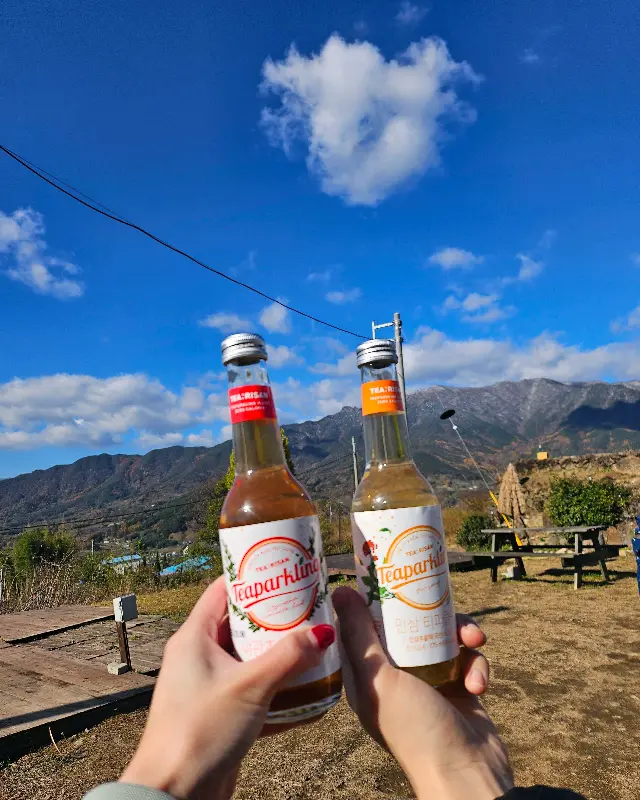 수제 탄산 음료