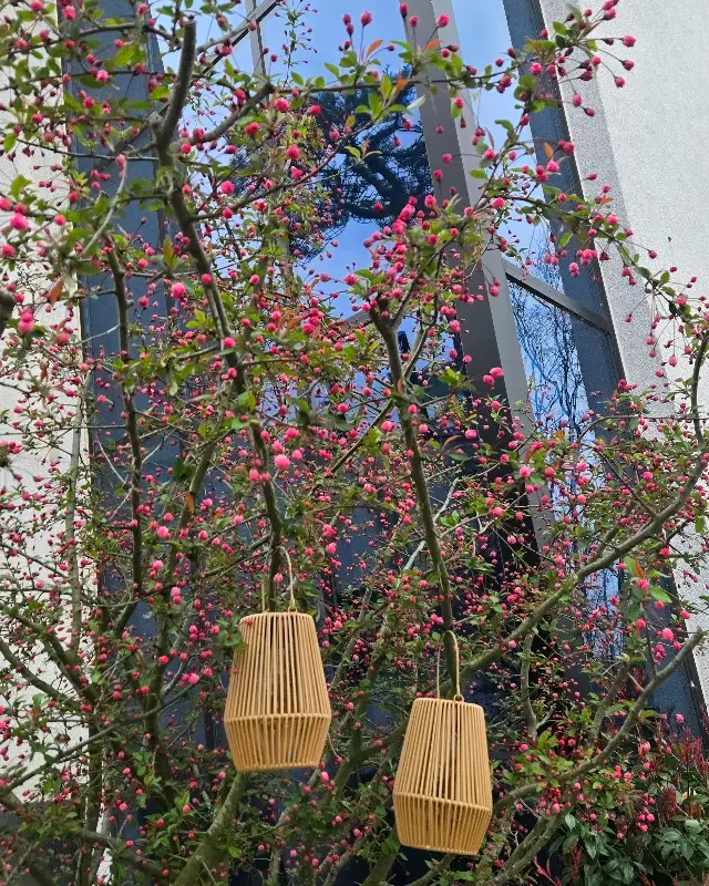 카페 내부 장식