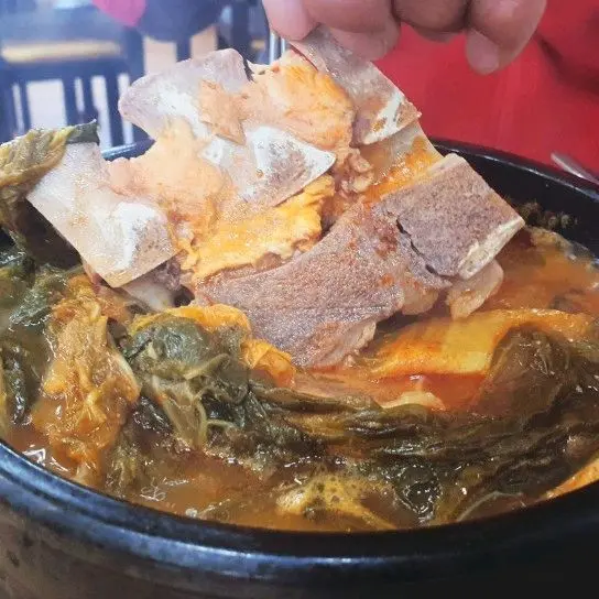 뼈다귀 클로즈업