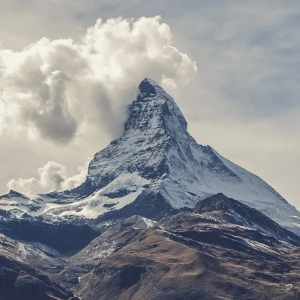 맛있는 순대국밥