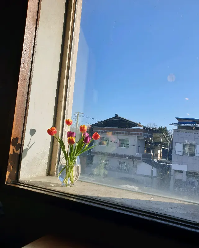 테이블 위의 당근 케이크