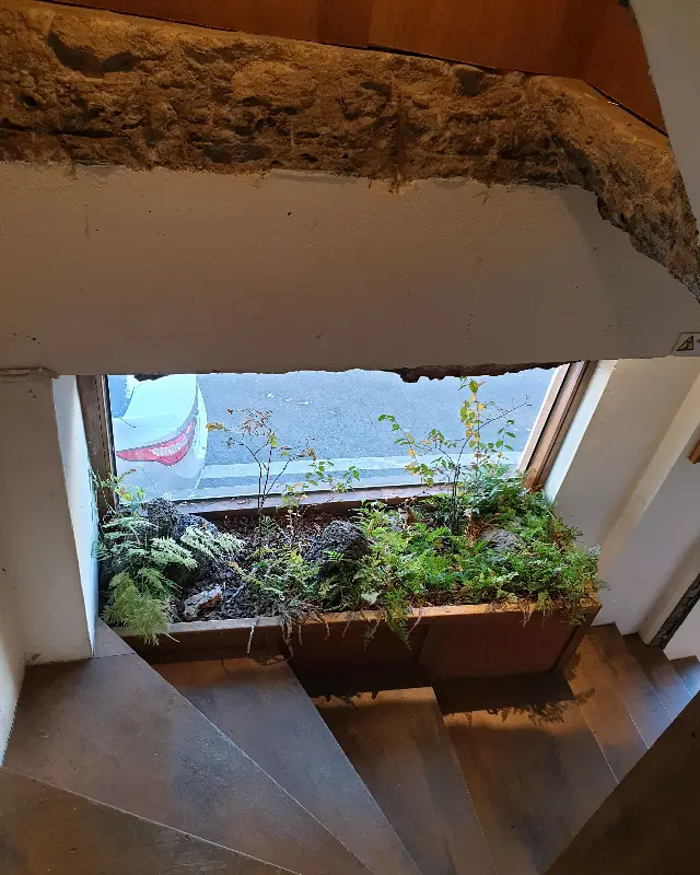 계단에서 내려다본 화분