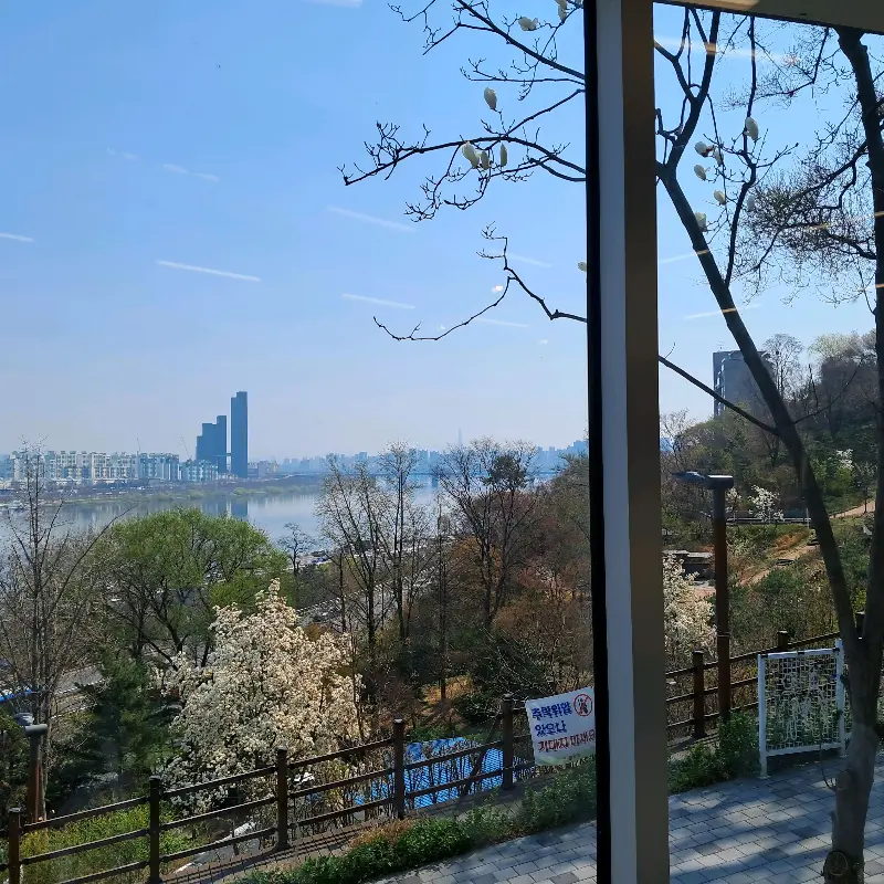 창밖으로 보이는 한강과 건물