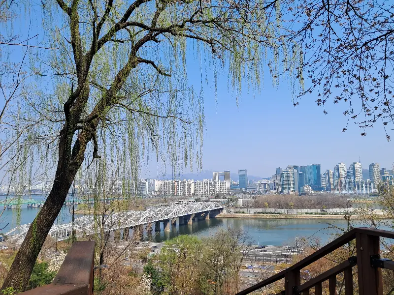 카페에서 보이는 한강과 다리, 나무