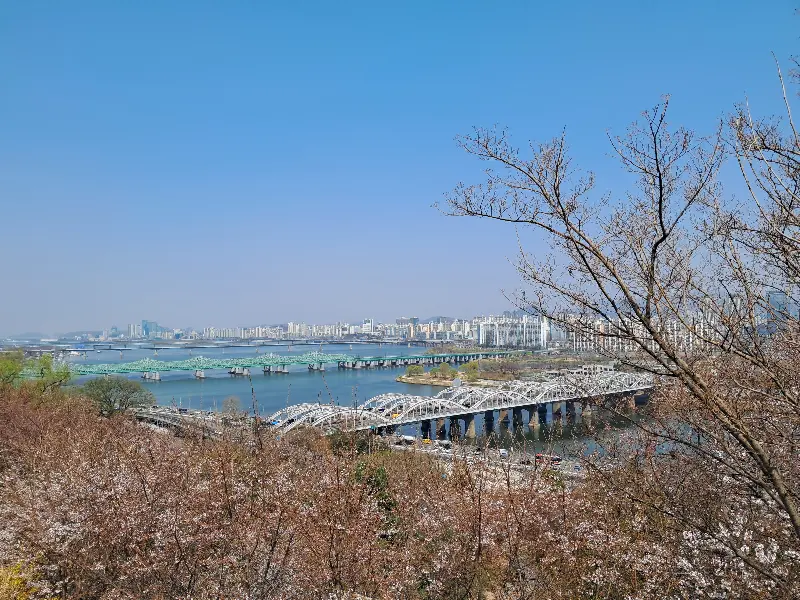 카페에서 바라본 한강과 다리