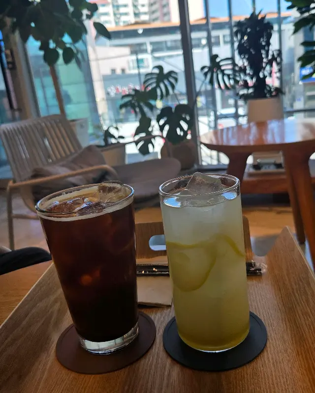 아이스 아메리카노와 레몬에이드