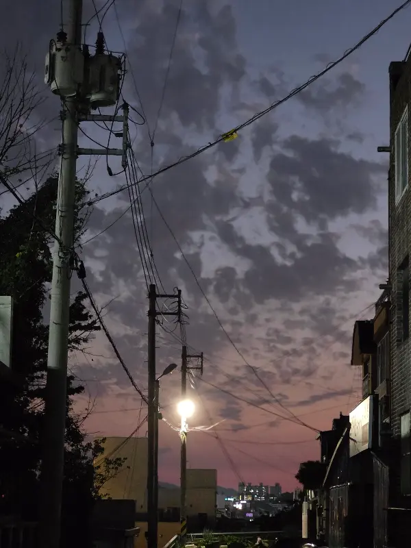 셀프바에서 푸짐하게 가져온 쌈 채소