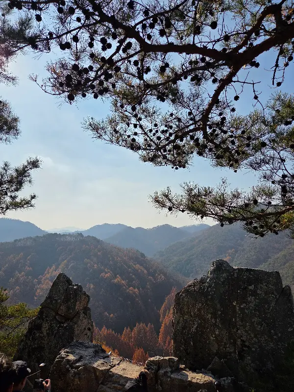 맛깔스러운 아구찜