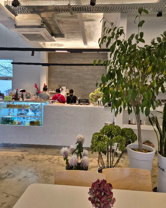 쇼케이스 안의 다양한 케이크