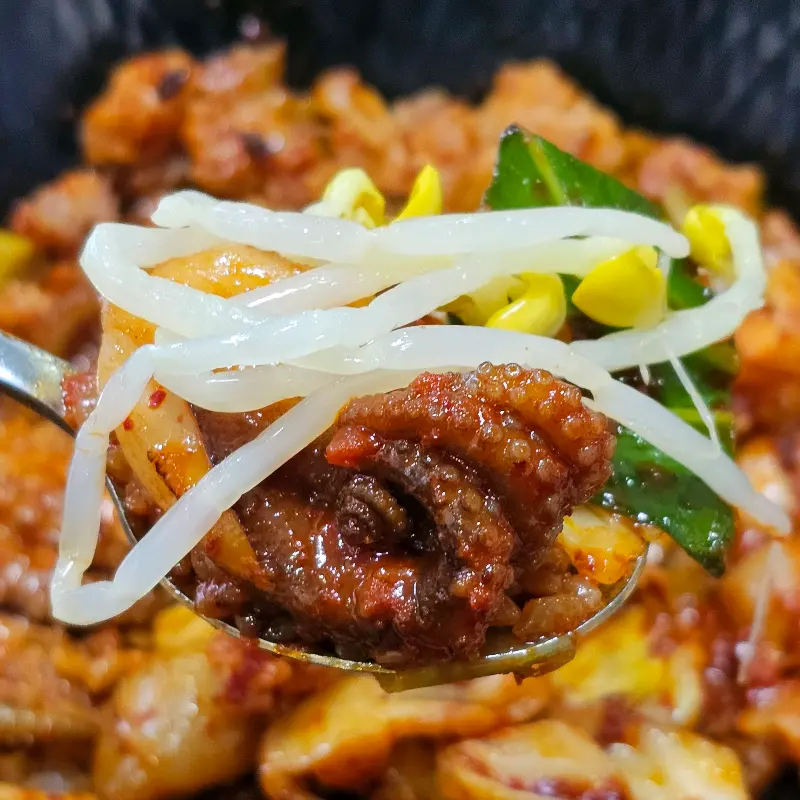 쭈꾸미 덮밥 한 입샷