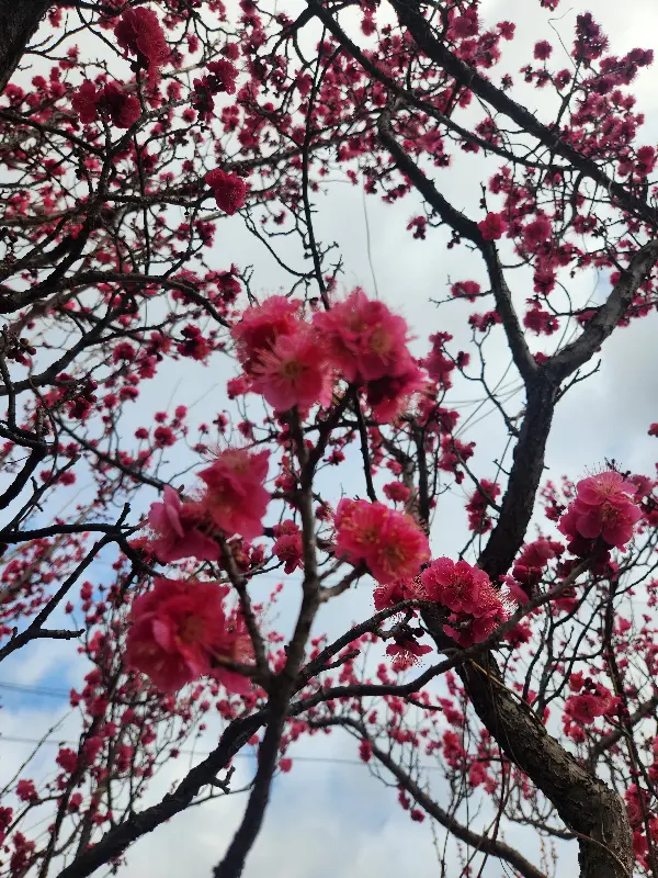 둥지터에서 맛있는 식사를 즐기는 사람들
