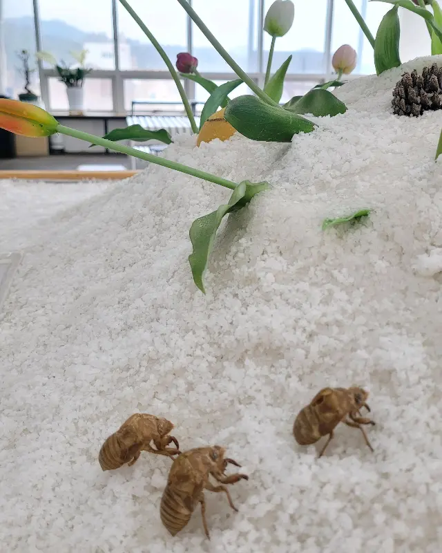 카페 내부 장식