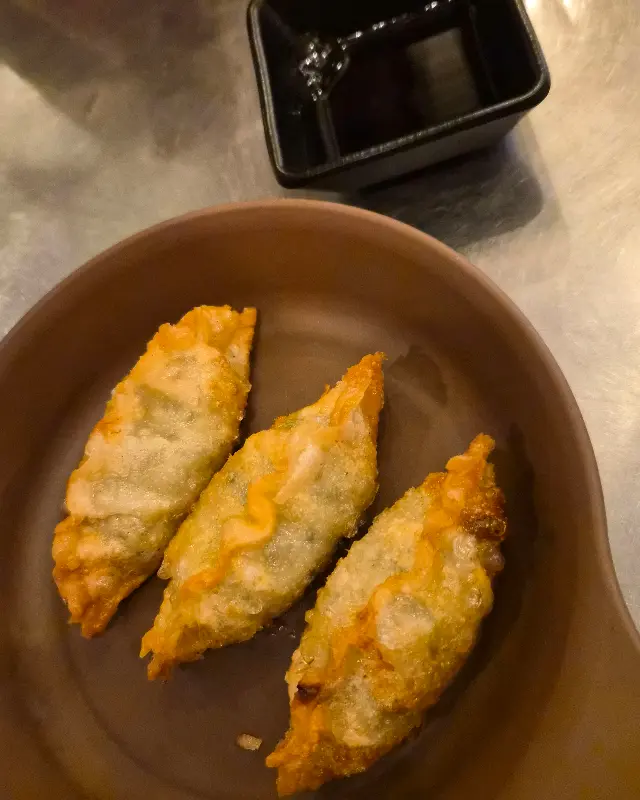 윤기 좔좔 흐르는 군만두