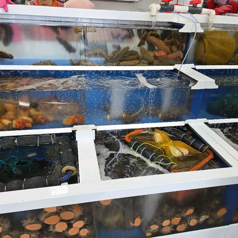 해녀촌 내부 수족관