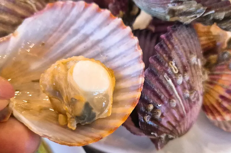 술과 함께 즐기는 맛