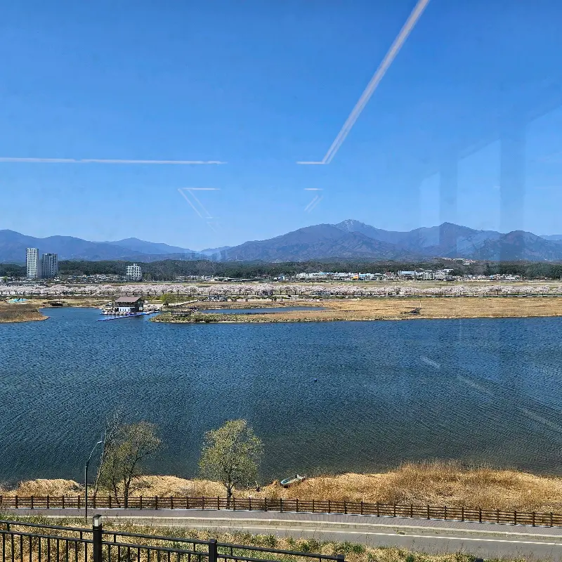 창밖으로 보이는 아름다운 벚꽃 뷰