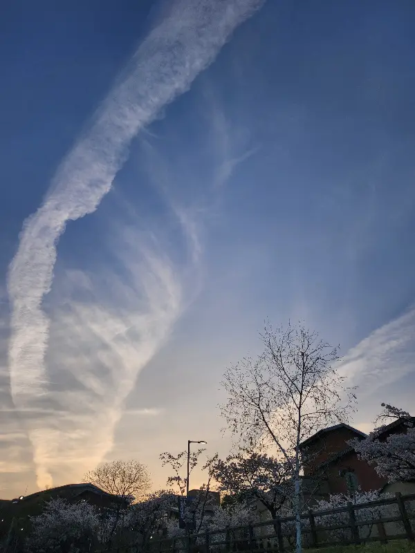 밤에 빛축제가 열린 화랑대 철도공원의 야경