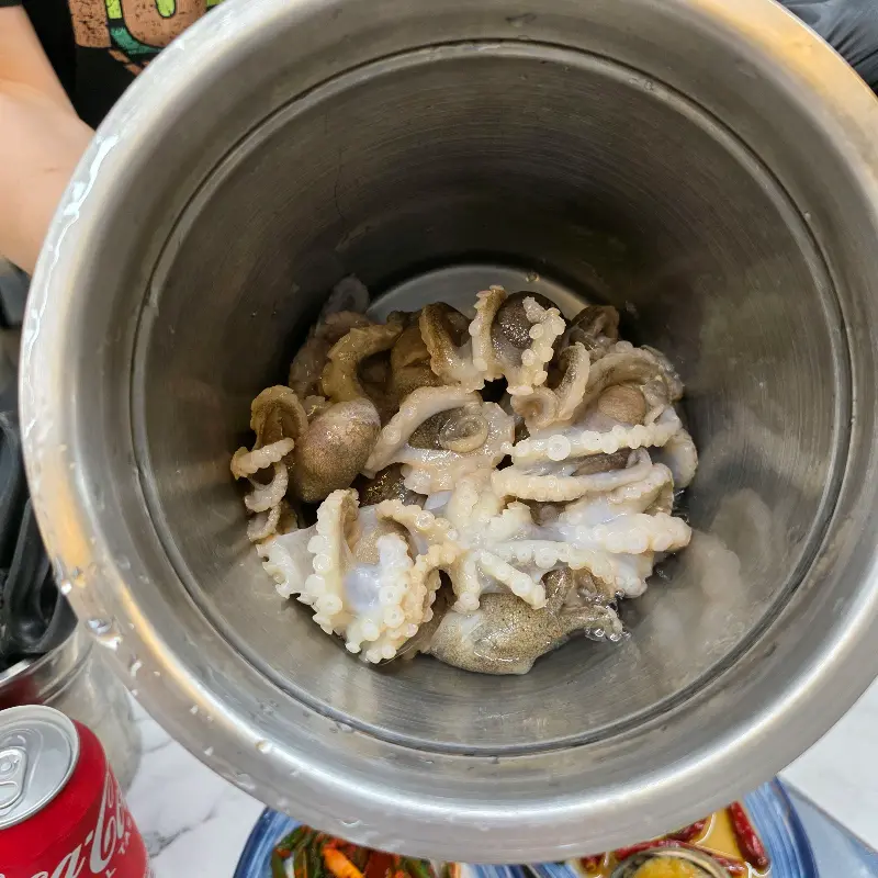 살아있는 쭈꾸미