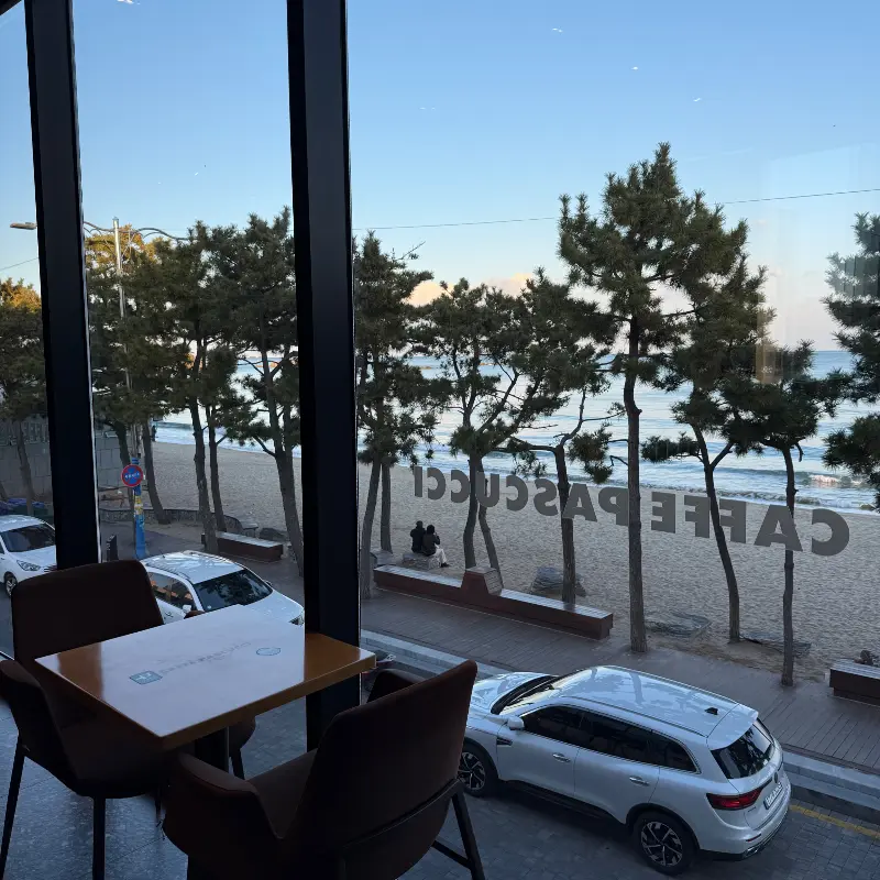 통창 너머로 보이는 진하해수욕장