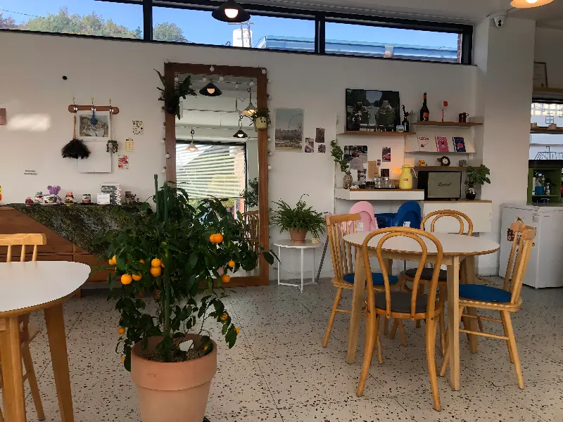 카페 내부의 다양한 좌석