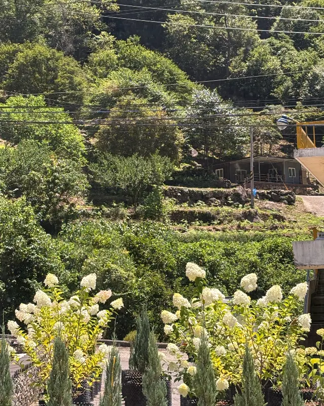 카페에서 바라본 풍경