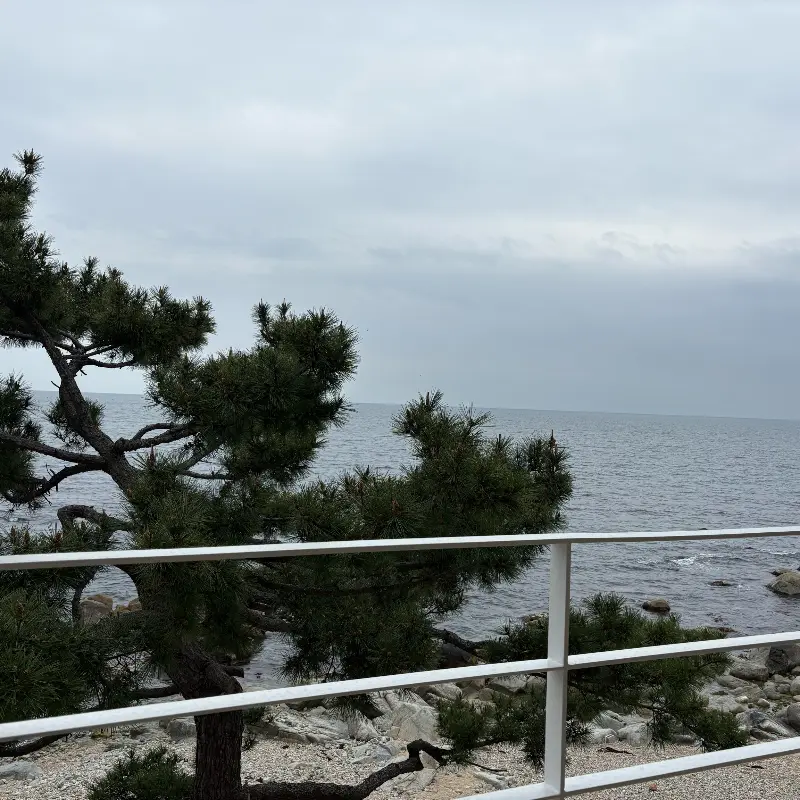 카페에서 판매하는 음료