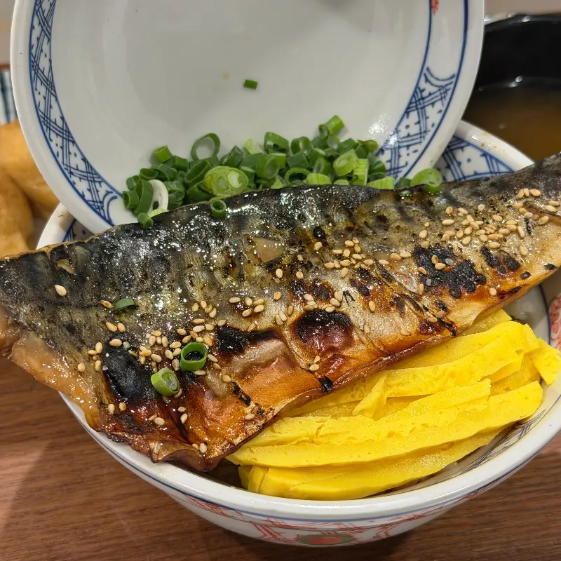 윤기가 자르르 흐르는 고등어 덮밥