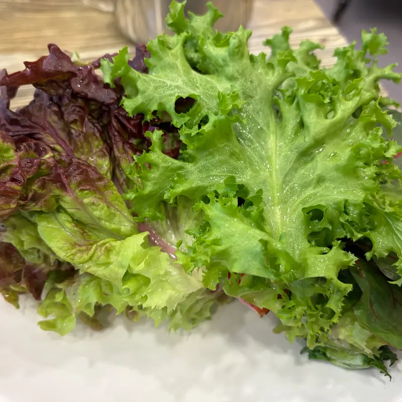 신선한 쌈 채소