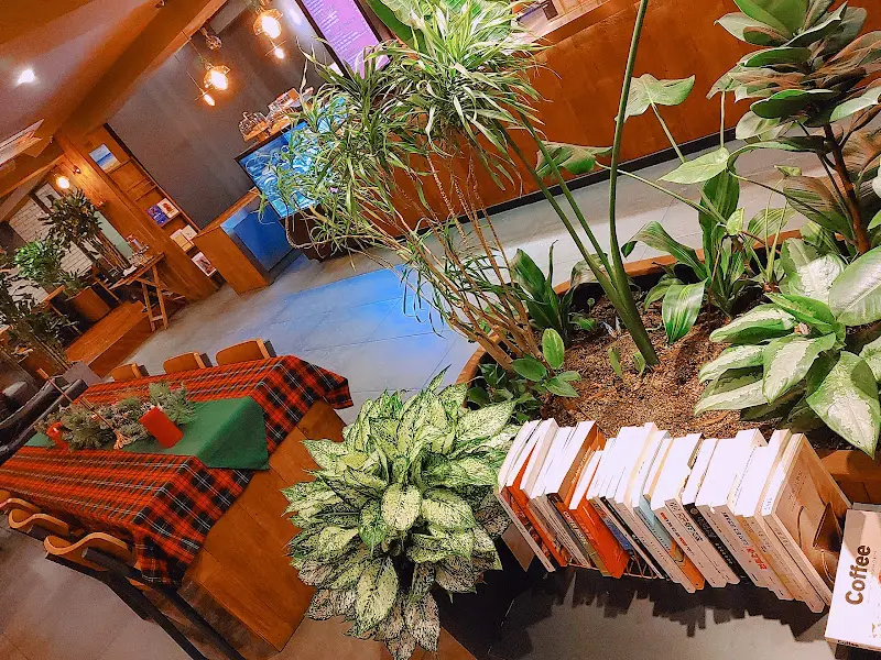 카페 내부 테이블과 의자, 식물 장식