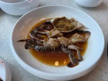 바다를 품은 맛, 제주 협재 맛집 “이끼”에서 만난 통갈치의 향연