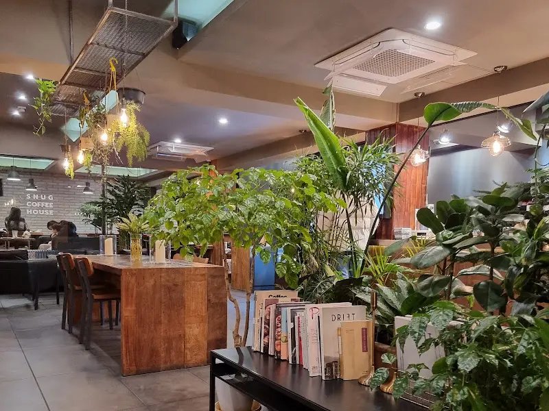 카페 내부의 다양한 식물 장식