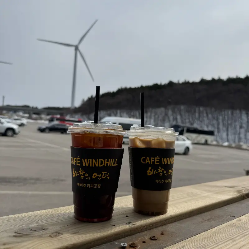 바람의 언덕 카페 전경