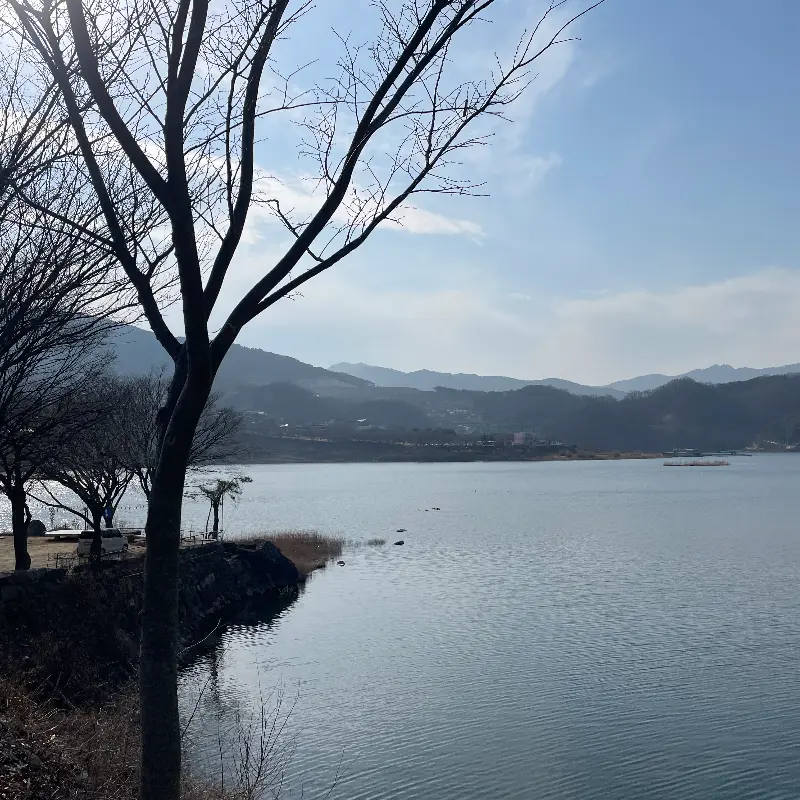 탁 트인 호수 뷰