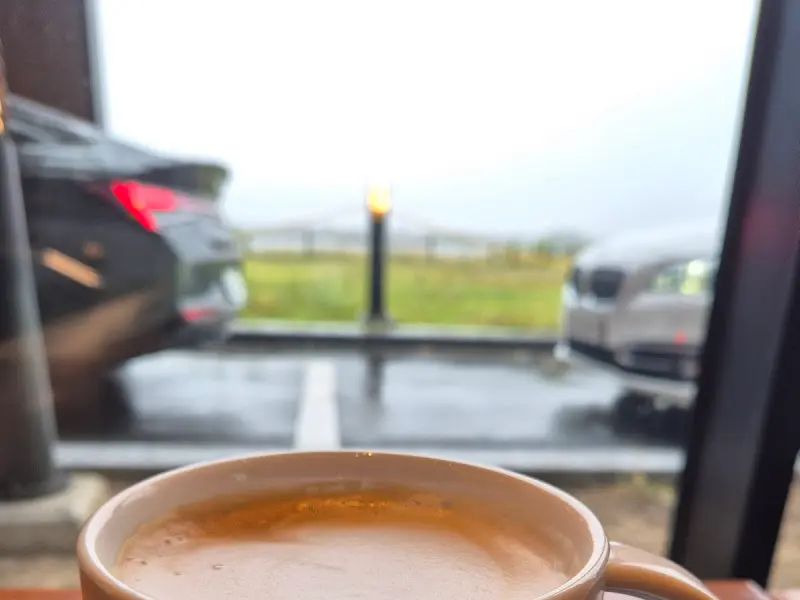 스타벅스 명지강변DT점 창가에서 바라본 주차장 뷰