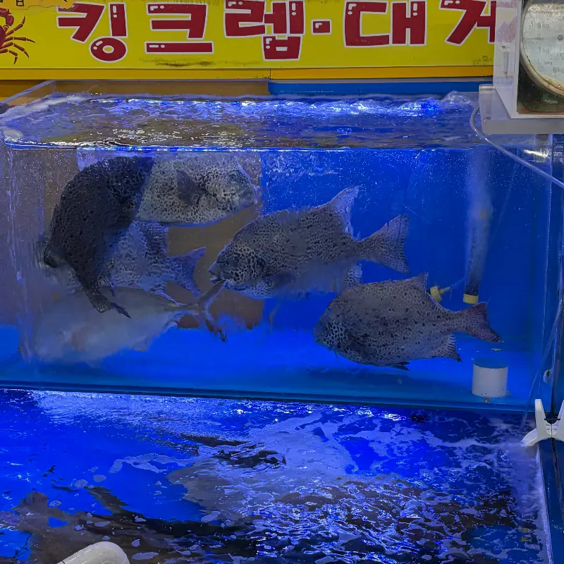 싱싱한 해산물이 가득한 수조