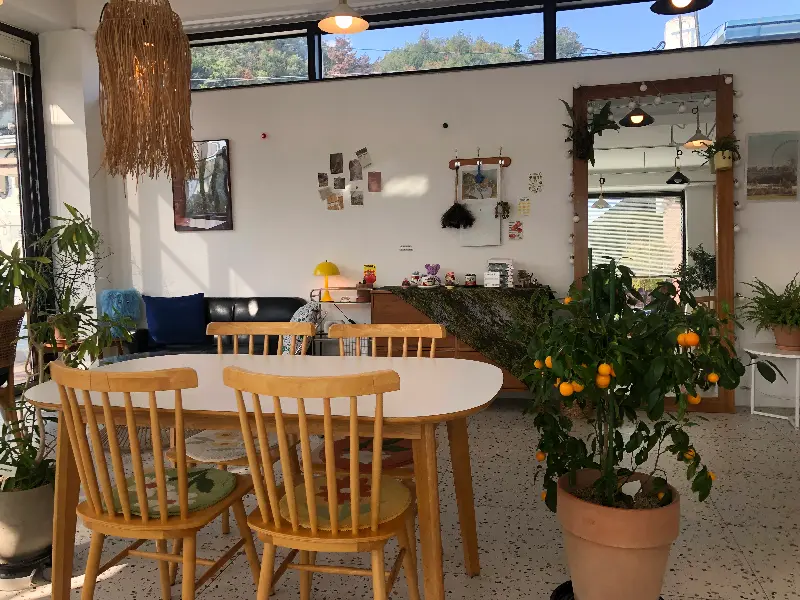 카페 내부의 아늑한 분위기