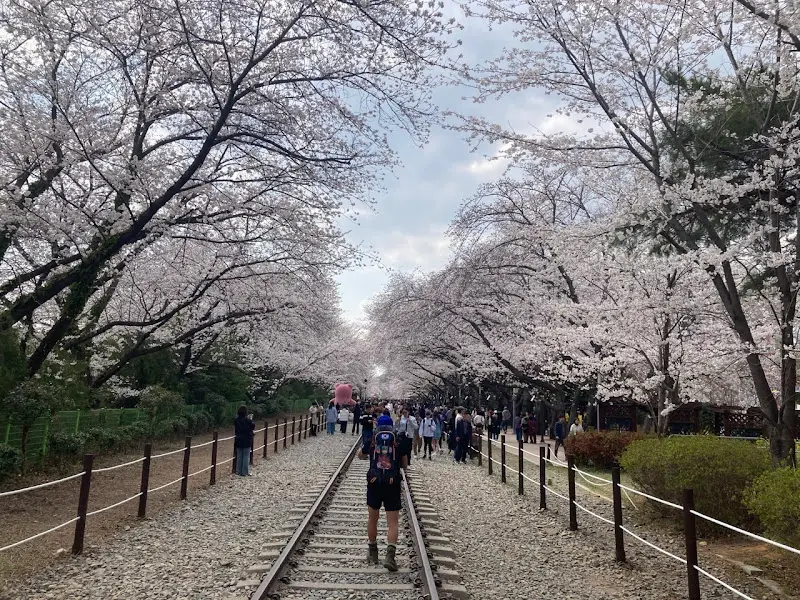 기찻길을 따라 걷는 사람들
