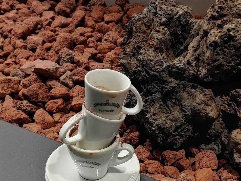 소디스 에스프레소바 에스프레소 잔