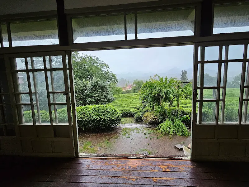 비오는 날의 매암제다원 풍경