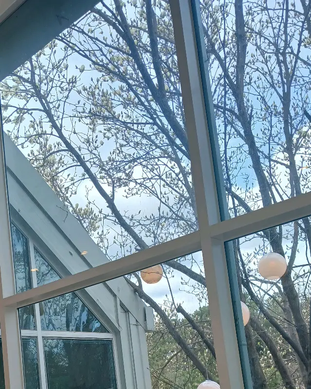 카페 외부 테라스